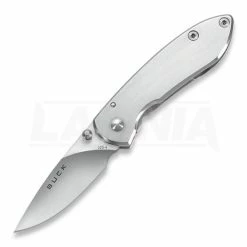 Buck Colleague Framelock Folding Knife 325