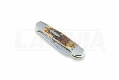 Case Cutlery Canoe Amber Bone Pocket Knife 00263 10 Case Cutlery Canoe Amber Bone Pocket Knife 00263 -Folding knives Sales Store 2322 CA00263 03
