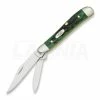 Case Cutlery Peanut Bermuda Green Pocket Knife 9726 -Folding knives Sales Store 23455 CA9726 01